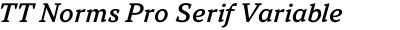 TT Norms Pro Serif Variable Italic